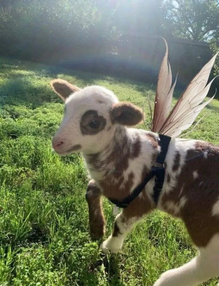 50 "Important Animal Images" To Put A Smile On Your Face (New Pics)