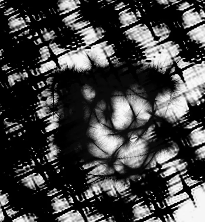 Unknown 1