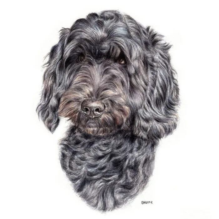 I Create Animal-Themed Paintings Using Watercolor, Ink, And Acrylic Paint, Here Are My best 70 Works
