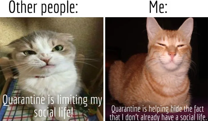 ......