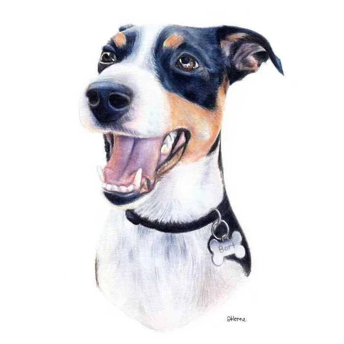 I Create Animal-Themed Paintings Using Watercolor, Ink, And Acrylic Paint, Here Are My best 70 Works