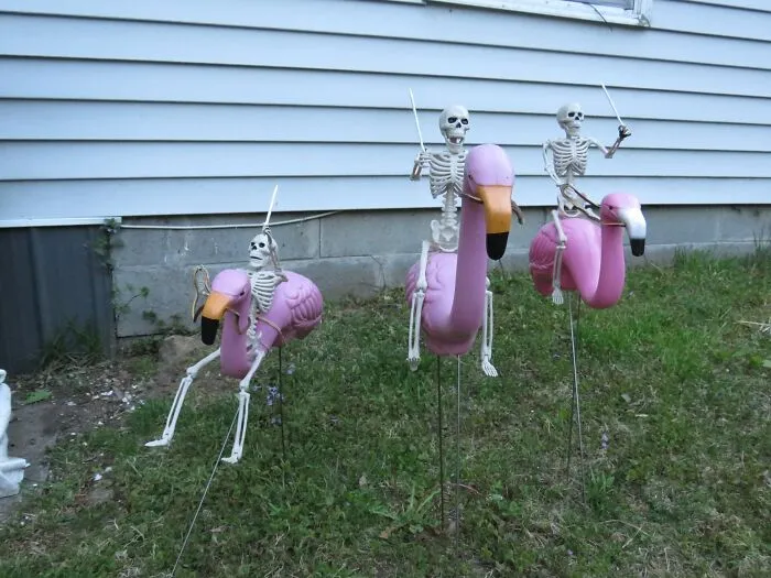 Our New Repurposed Lawn Flamingos. Picked Them Up At A Yard Sale Not Long Go. The Skeletons Last Year Off The Marketplace.  And Well This Is What Happened