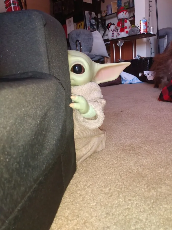 I See You