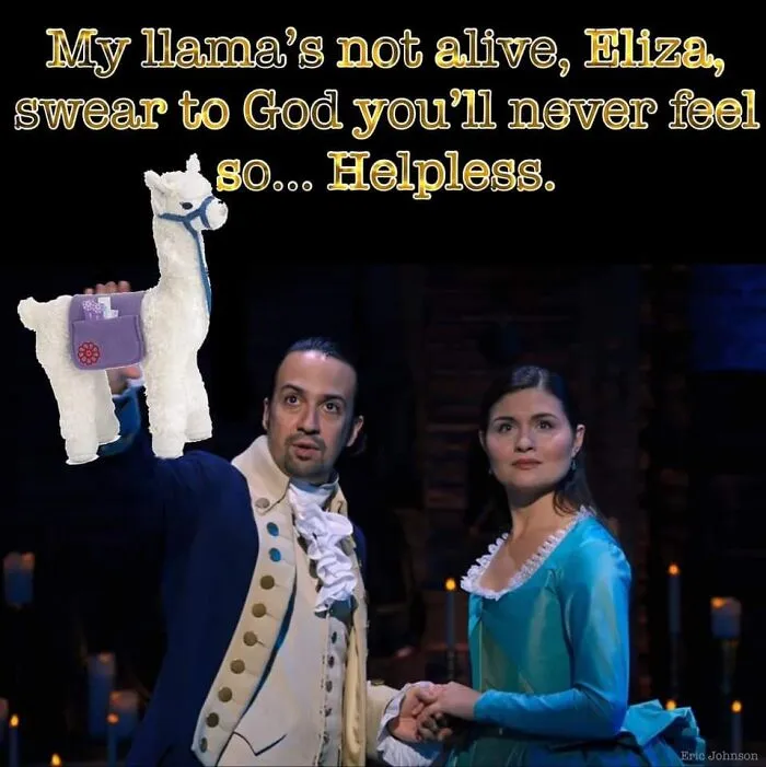 Poor Llama