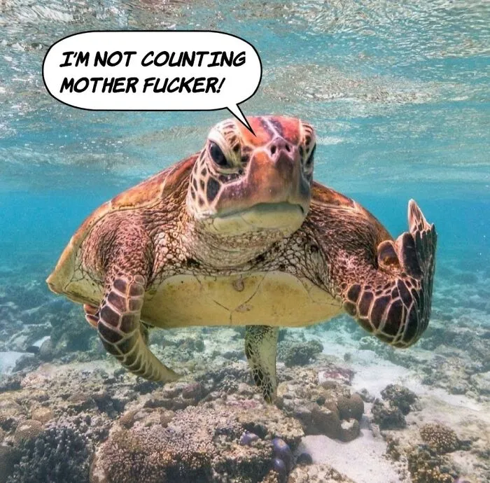 I'm Not Counting...