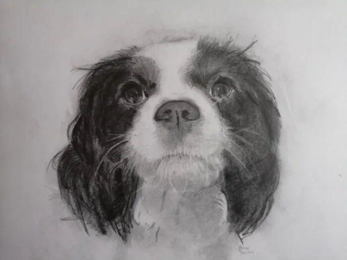 Silky, My Daughters Birthday Present.