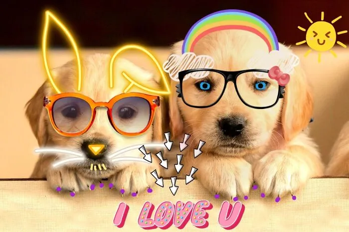The Best Friends