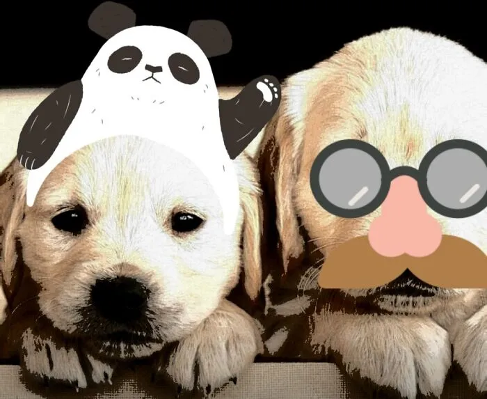 We Likes To Dress Up For You