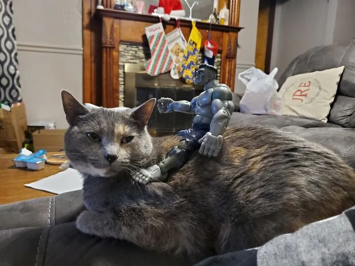 Gibson Does Not Care... So Long As Long Aa You Show Her Love.