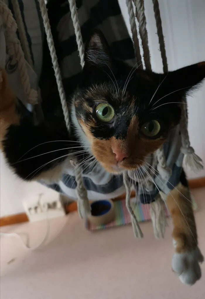 Meet Kali. She Just Loves The Most Uncomfy Positions.