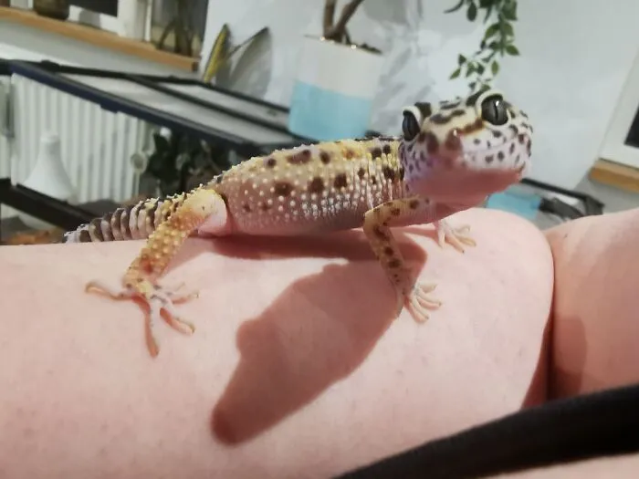 My Newest Little Guy