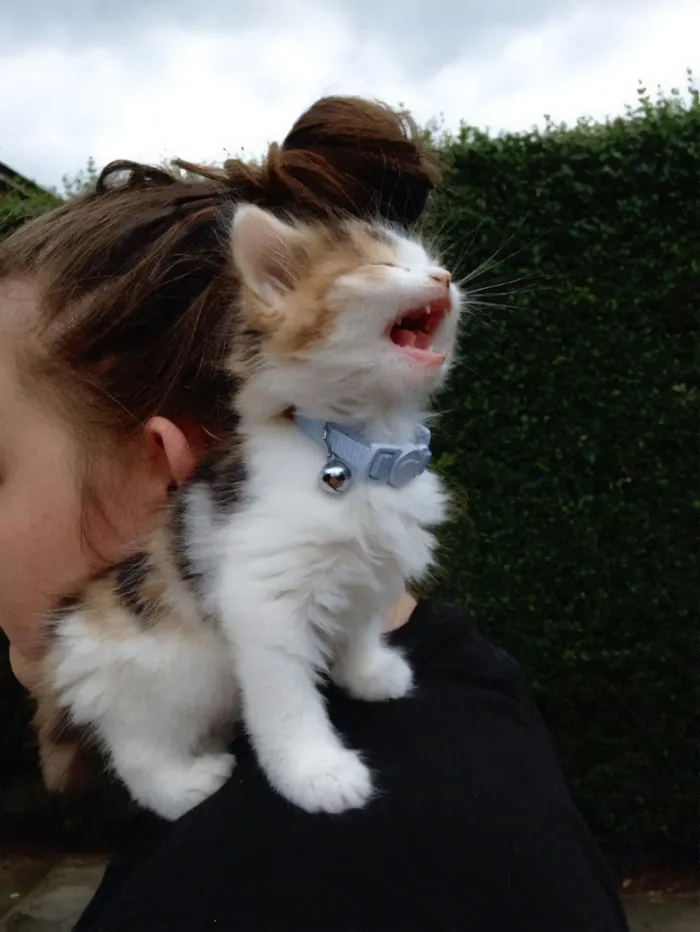 She Screams
