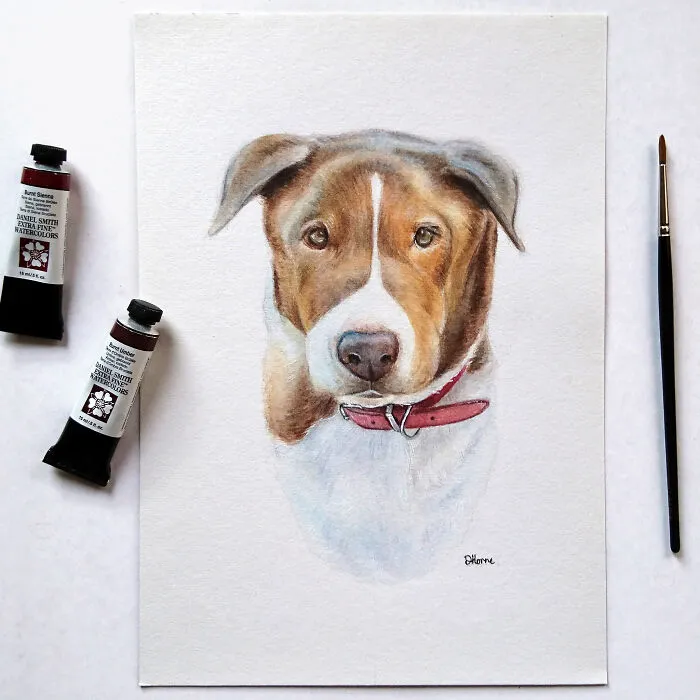 I Create Animal-Themed Paintings Using Watercolor, Ink, And Acrylic Paint, Here Are My best 70 Works