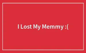 I Lost My Memmy :(