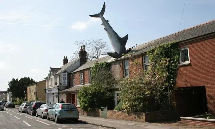 “Sharkitecture”