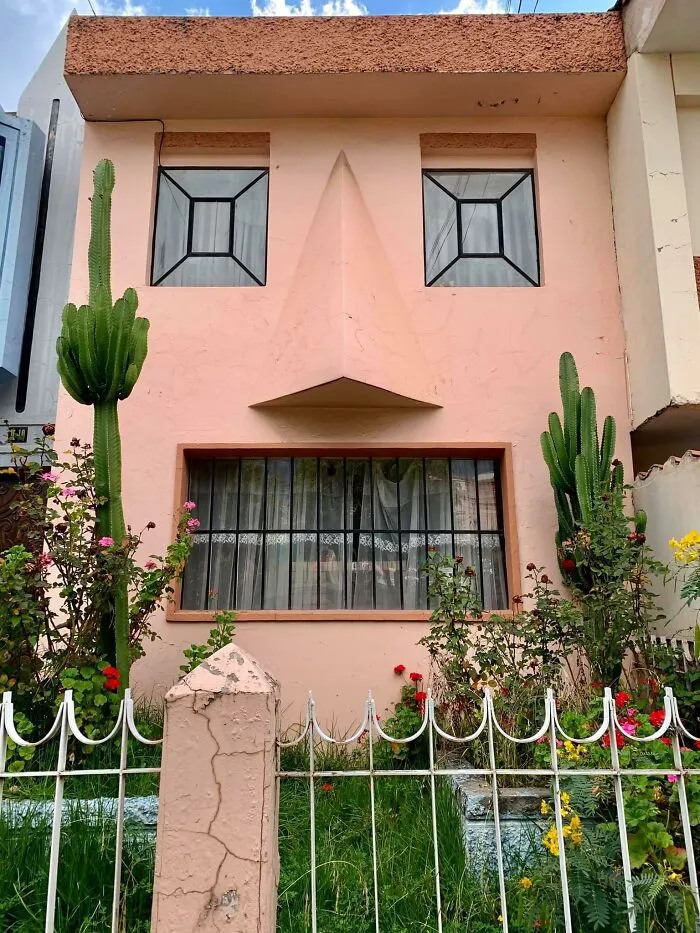 The Cactus Is *chef’s Kiss