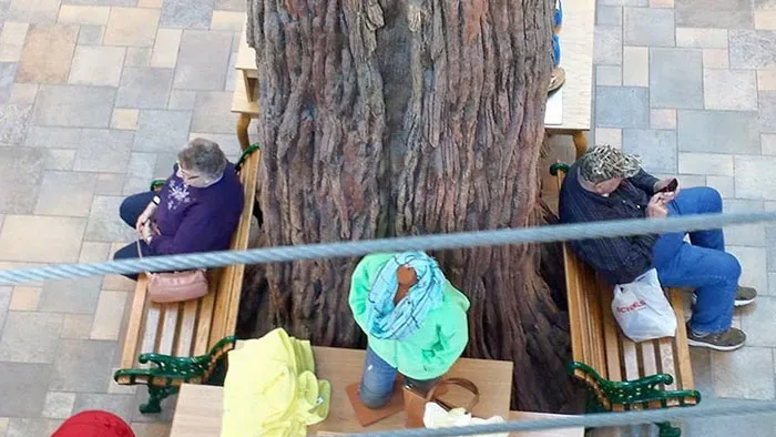 Mis abuelos habían quedado en el centro comercial