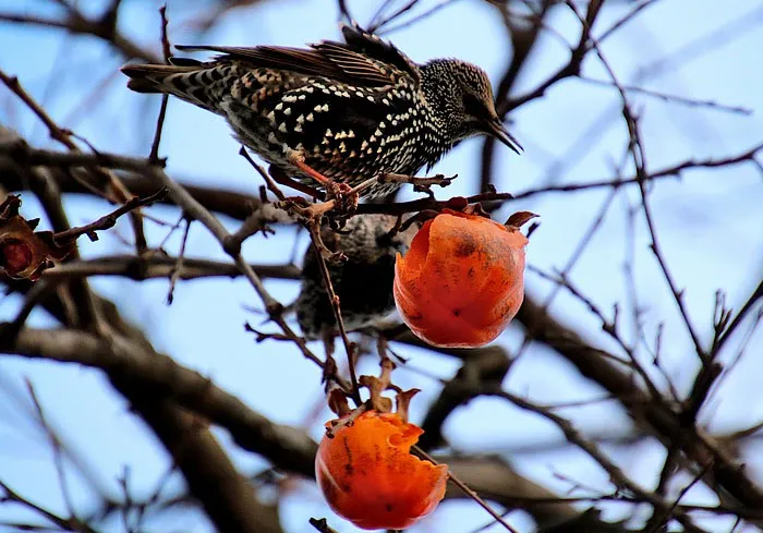 30 People Share Stories Of How Their "Crazy Neighbor" Earned That Name