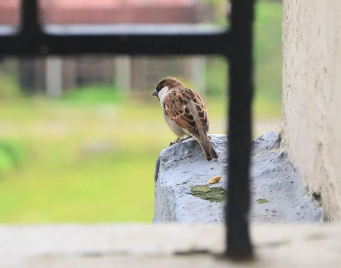 30 People Share Stories Of How Their "Crazy Neighbor" Earned That Name