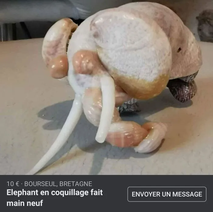 The Caption Says It's An Elephant, Handmade Out Of Sea Shells. I Thought It Was A Very Weird Raw Chicken