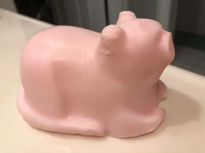 I Paid Real American Dollars To An Etsy “Artist” For This Homemade “Cat” Soap, Meant To Be A Gift For My Daughter. My Daughter Politely Declined.  Meow?