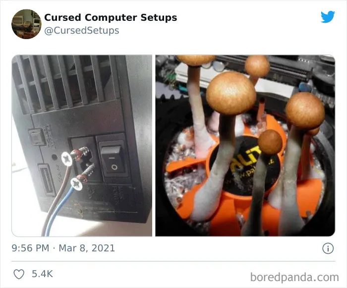 30 Times People Had Such Terrible Computer Setups, They Could Only Be Described As 'Cursed', As Shared By This Twitter Account