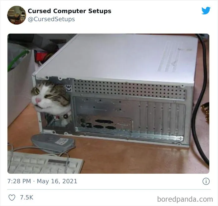 30 Times People Had Such Terrible Computer Setups, They Could Only Be Described As 'Cursed', As Shared By This Twitter Account
