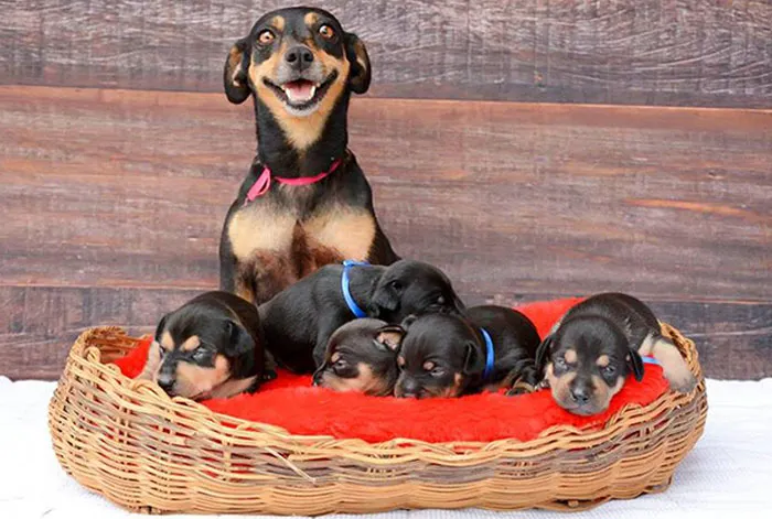 La madre más feliz 