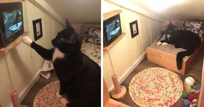 Guy Transforms Empty Space Behind Wall Into Tiny Bedroom For His Cat, Makes Other Cat Parents Feel Bad About Themselves
