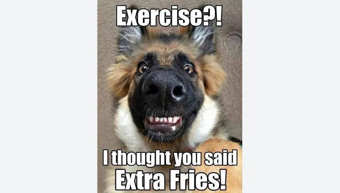 My Most Favorite. It Always Makes Me Smile :)