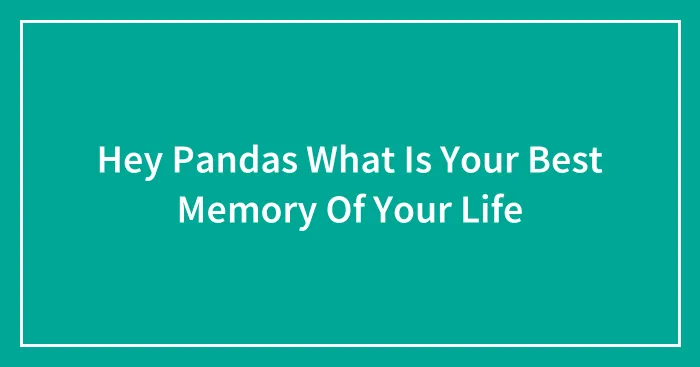 Hey Pandas What Is Your Best Memory Of Your Life