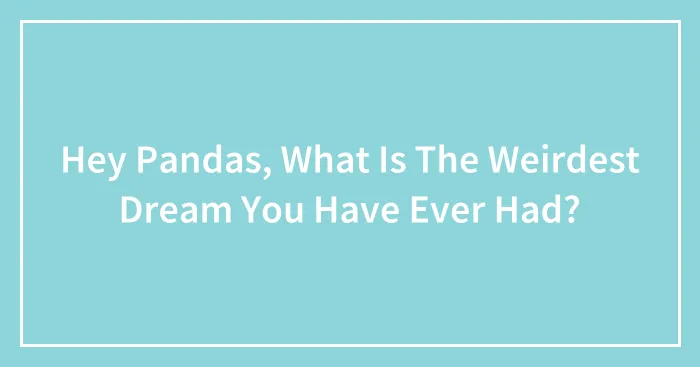 Hey Pandas, What Is The Weirdest Dream You Have Ever Had? (Closed)