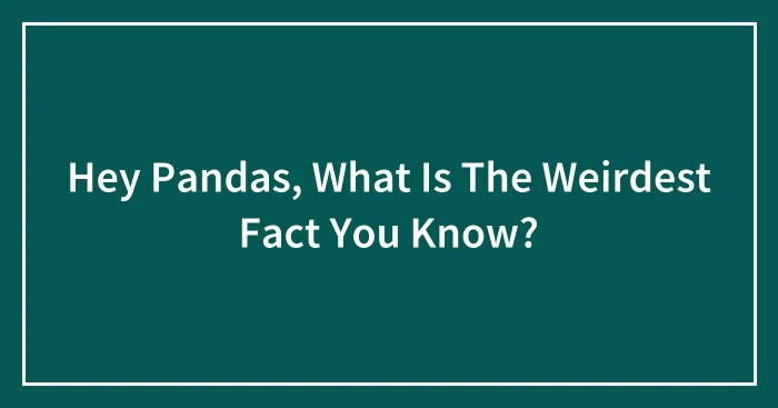 Hey Pandas, What Is The Weirdest Fact You Know? (Closed)