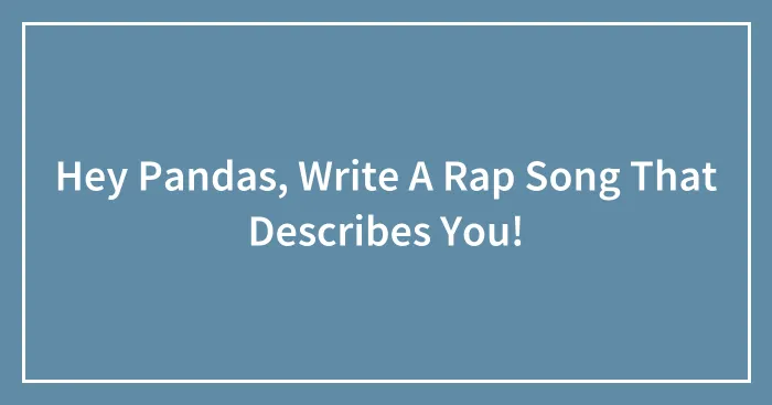 Hey Pandas, Write A Rap Song That Describes You!