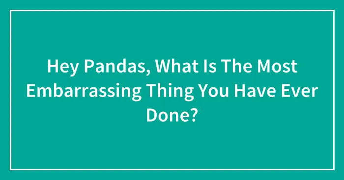 Hey Pandas, What Is The Most Embarrassing Thing You Have Ever Done?