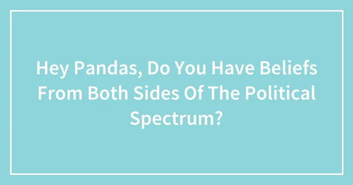 Hey Pandas, Do You Have Beliefs From Both Sides Of The Political Spectrum?