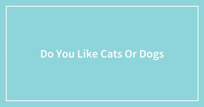 Do You Like Cats Or Dogs
