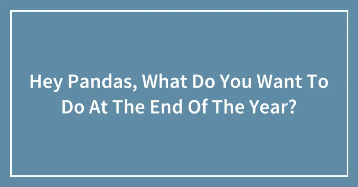 Hey Pandas, What Do You Want To Do At The End Of The Year?
