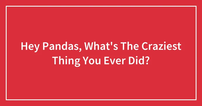 Hey Pandas, What's The Craziest Thing You Ever Did? (Closed)