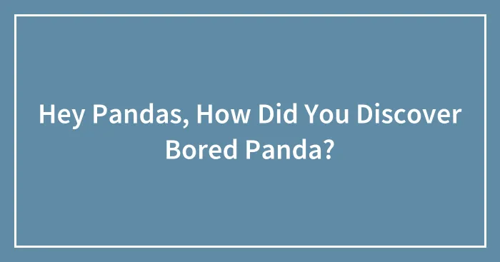 Hey Pandas, How Did You Discover Bored Panda?