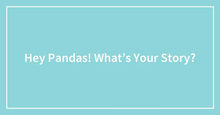 Hey Pandas! What’s Your Story?