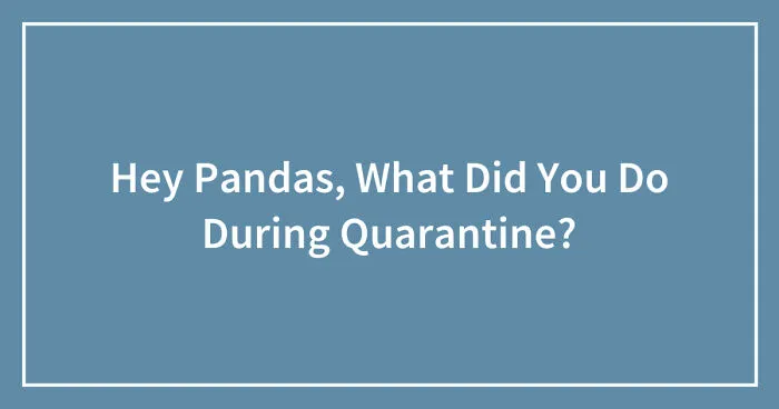 Hey Pandas, What Did You Do During Quarantine? (Closed)