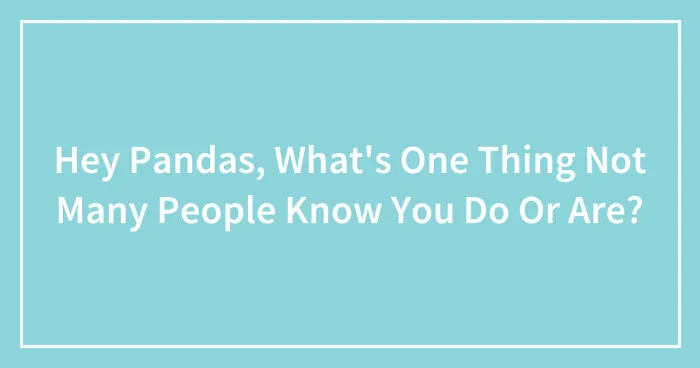 Hey Pandas, What's One Thing Not Many People Know You Do Or Are? (Closed)