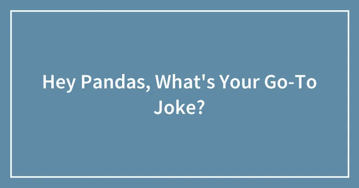 Hey Pandas, What's Your Go-To Joke? (Closed)