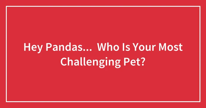 Hey Pandas...  Who Is Your Most Challenging Pet?