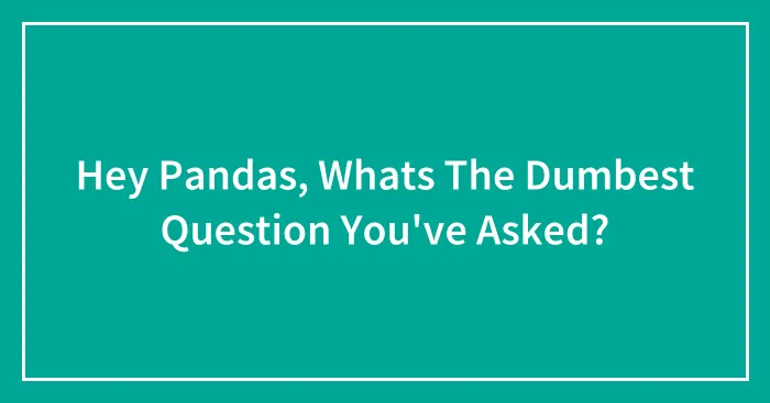Hey Pandas, Whats The Dumbest Question You've Asked?