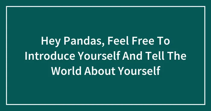 Hey Pandas, Feel Free To Introduce Yourself And Tell The World About Yourself (Closed)