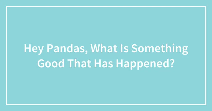Hey Pandas, What Is Something Good That Has Happened? (Closed)