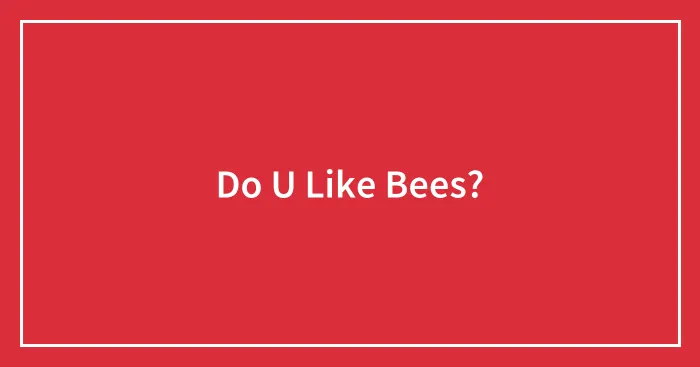 Do U Like Bees?