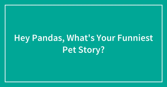 Hey Pandas, What's Your Funniest Pet Story?